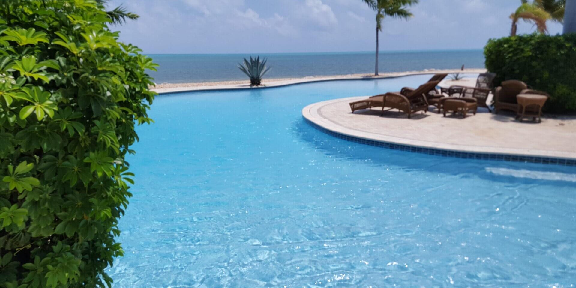 Swimming Pool with tree